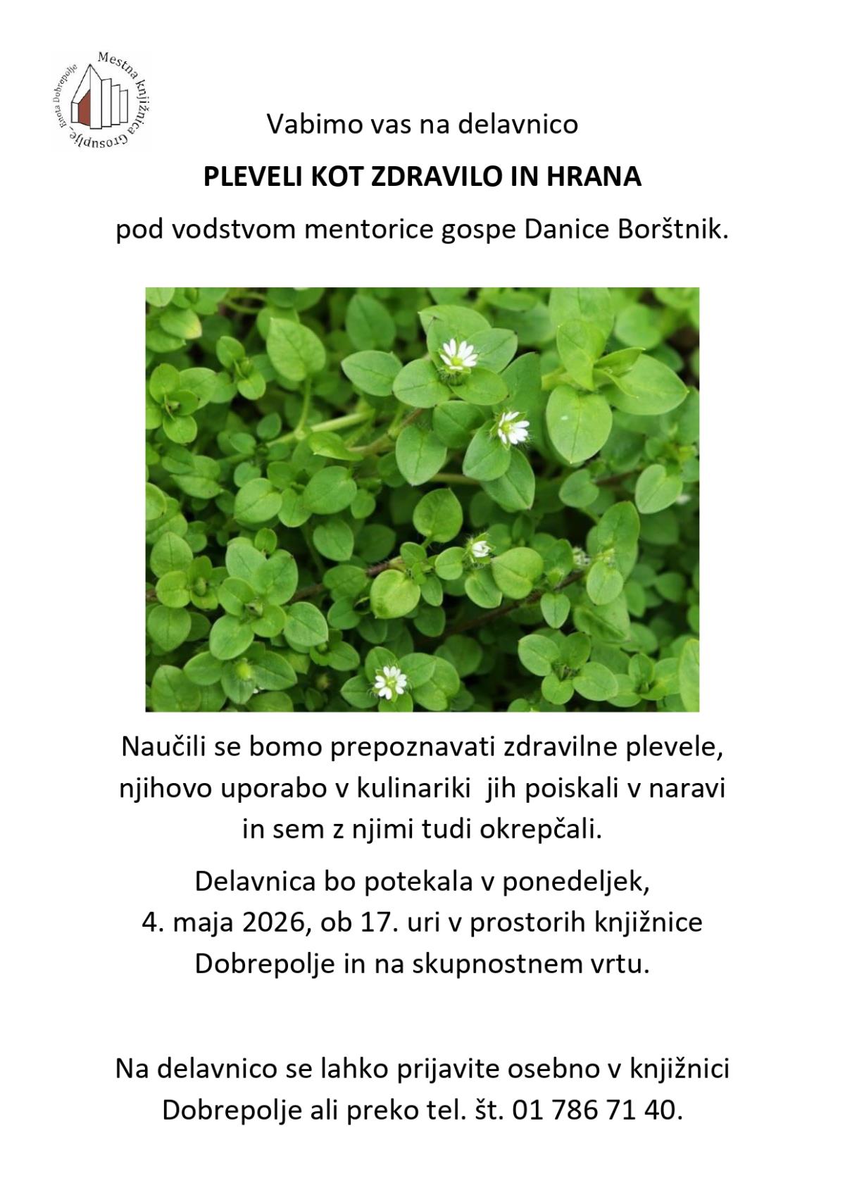 Vabilo  pleveli kot zdravilo in hrana_page-0001 (1)